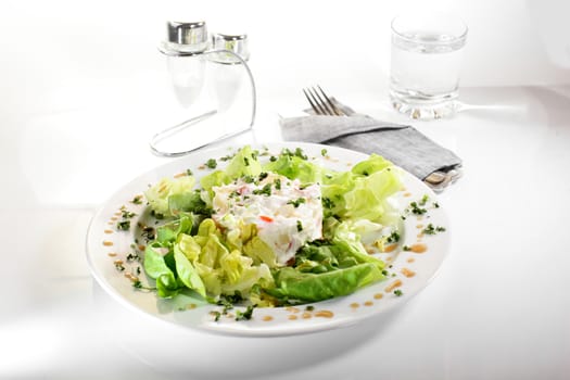 fresh and tasty european salad on white dish