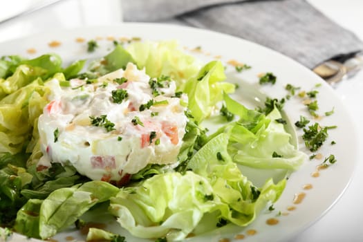 fresh and tasty european salad on white dish