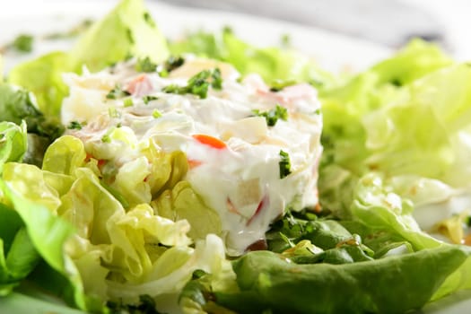 fresh and tasty european salad on white dish