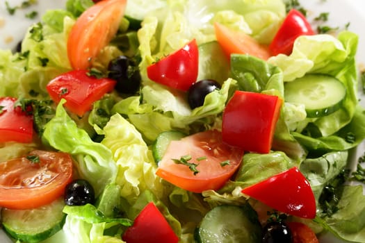 fresh and tasty european salad on white dish