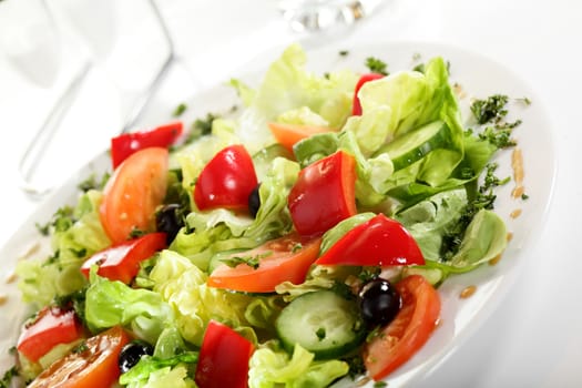 fresh and tasty european salad on white dish