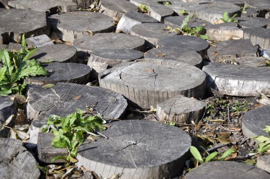 The Fragment of garden decor of wood scraps round logs (landscape)