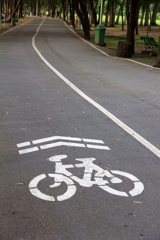 Bike lane in the park