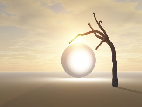 Glowing Globe Under Desert Tree - A glowing Orb on a flat plain with a dead tree against a rising sun.