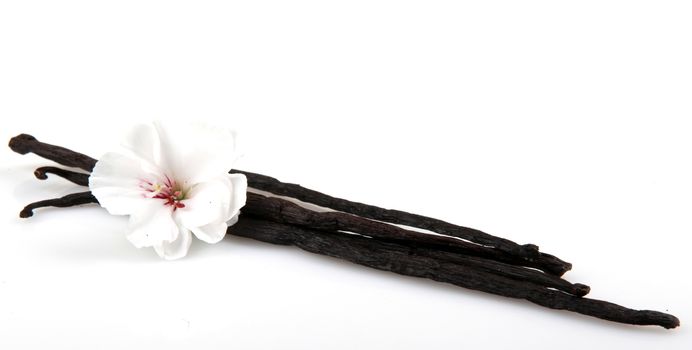 Vanilla Bean And Flower