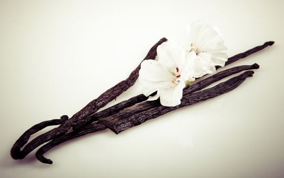 Vanilla Bean And Flower