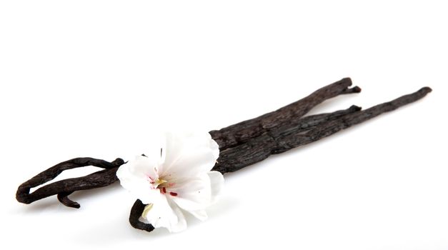Vanilla Bean And Flower