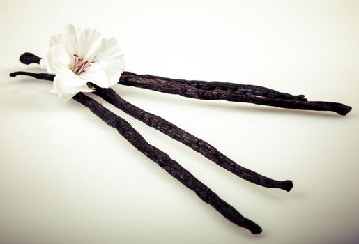 Vanilla Bean And Flower