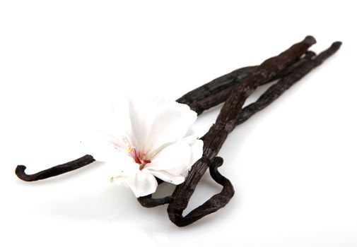 Vanilla Bean And Flower