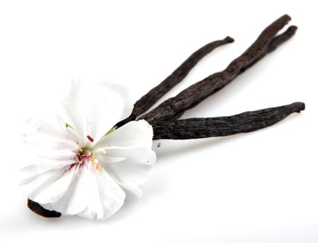 Vanilla Bean And Flower