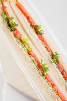 fresh and tasty sandwich on white background