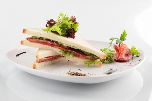 fresh and tasty sandwich on white background