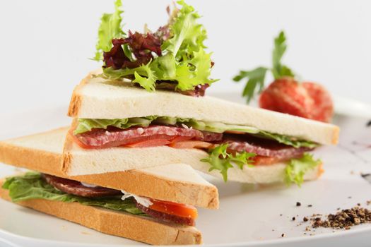 fresh and tasty sandwich on white background