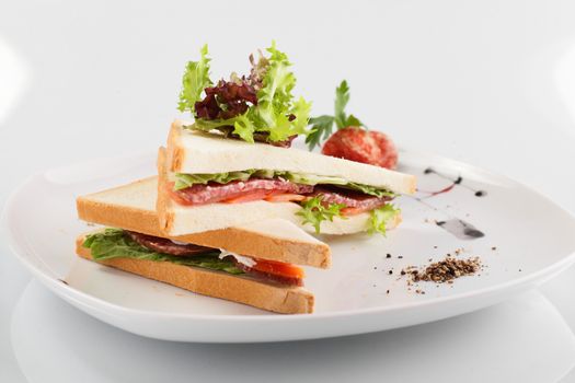 fresh and tasty sandwich on white background