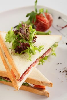 fresh and tasty sandwich on white background