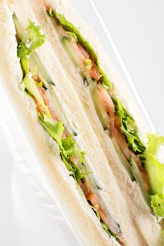 fresh and tasty sandwich on white background