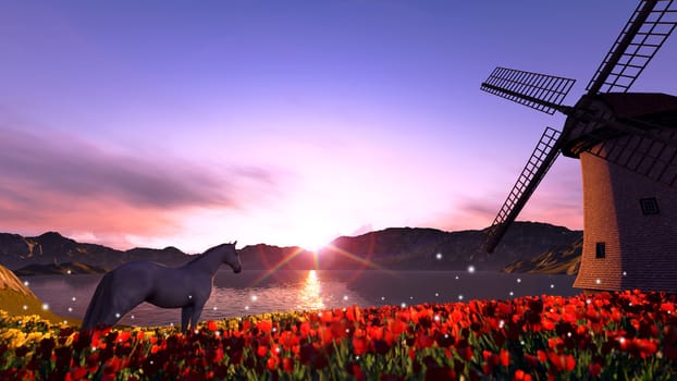 Flowers field at the river on sunset with horses.