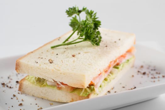 fresh and tasty sandwich on white background