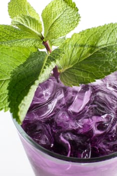 cold and fresh european cocktail on white background