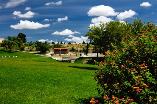 Beautiful summer landscape of the Barreiro garden, Portugal.