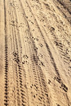 Animal and tires tracks in the sand on a safari in Tanzania