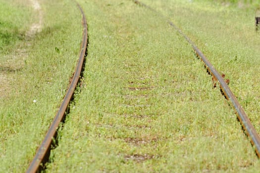 pair of railway track in the green