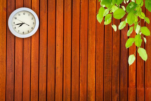 Wall with clock and branches.