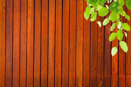 Wall with green branches.