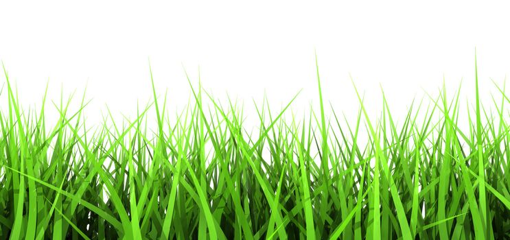 3D generated Green Blades of Grass Isolated on White Background