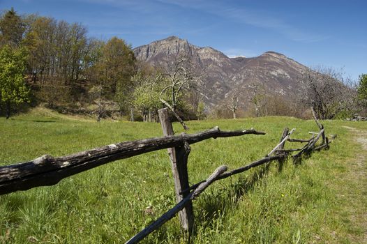 Rural scene of a spring meadow with fence, Domodossola, Italy