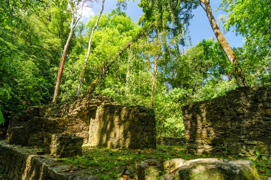 Trees growing out of ruins in the jungle near Palenque