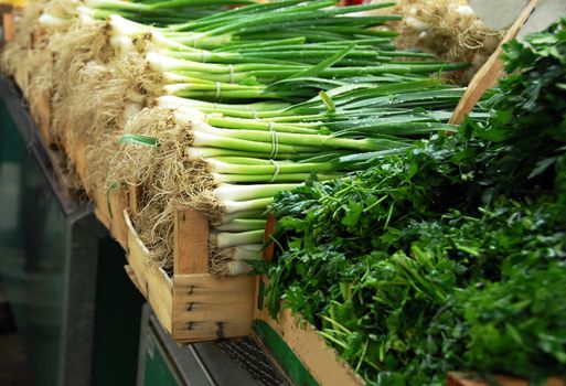 bunches of green spring onion on market stand outdoor