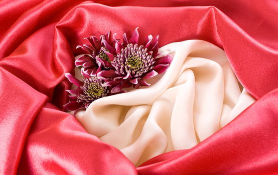 White and red silk background with red chrysanthemum