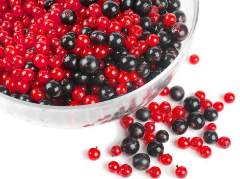 Heap of red and black currants in big bowl