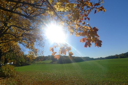 Sunny day in fall