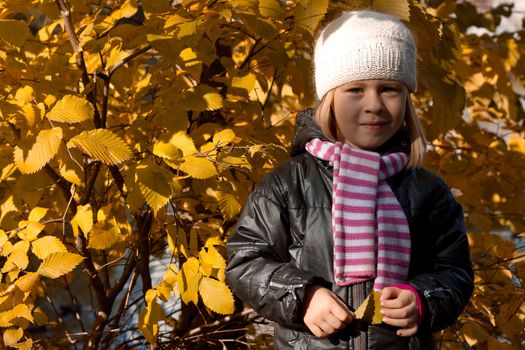 Cute girl in autumn park portrait