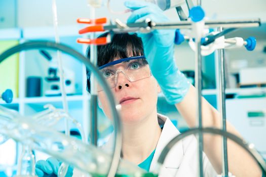 Scientific researcher holding at a liquid solution in a lab