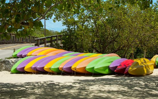 A number of different colored kayaks are stored next to a creek available to be rented.