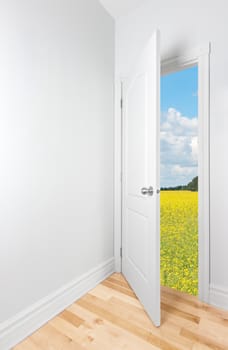 Flowering summer field seen through the open door.