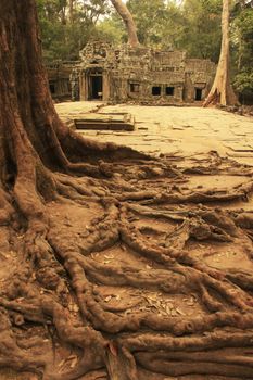 Ta Promh temple, Angkor area, Siem Reap, Cambodia