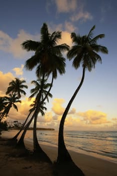 Las Terrenas beach at sunset, Samana peninsula, Dominican Republic