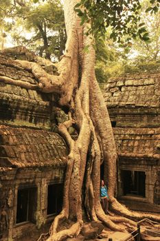 Ta Promh temple, Angkor area, Siem Reap, Cambodia