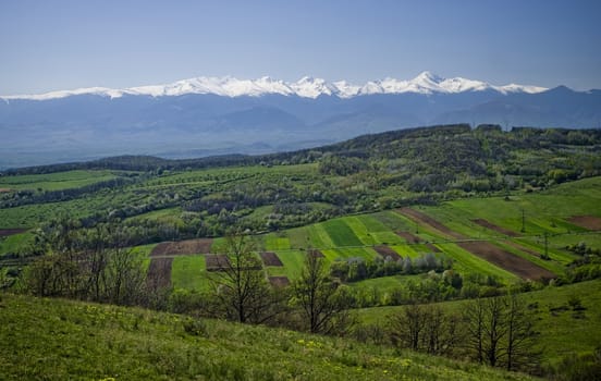 fresh mountain landscape in spring, Romania