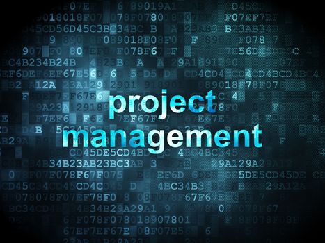 Business concept: pixelated words Project Management on digital background, 3d render