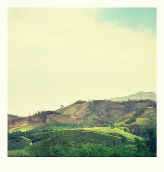 landscape mountain at the blue sky.