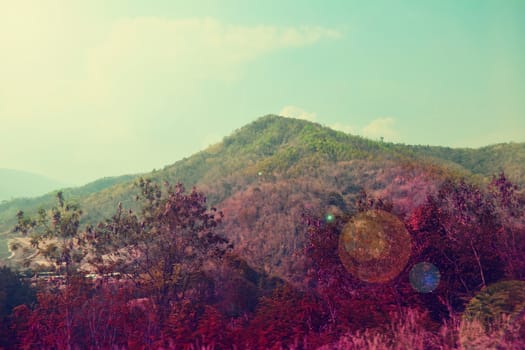 landscape mountain at the blue sky.