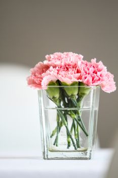 Bouquet of carnation flowers in glass vase