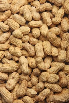 peanut backgrounds texture