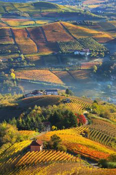 Vertical oriented image of rural houses on autumnal hills among vineyards of Langhe in Piedmont, Northern Italy (view from above).