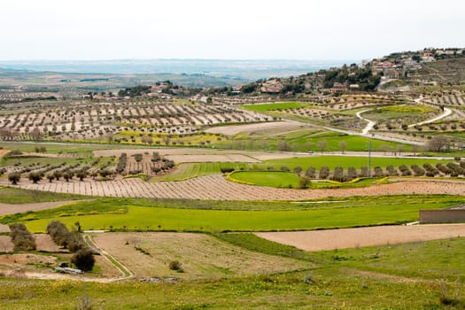 Fields around old town Chinchon in Spain